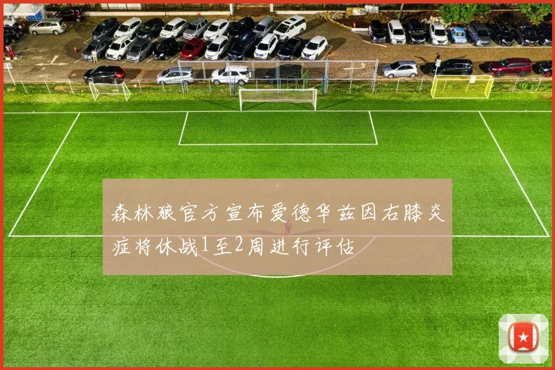 森林狼官方宣布爱德华兹因右膝炎症将休战1至2周进行评估