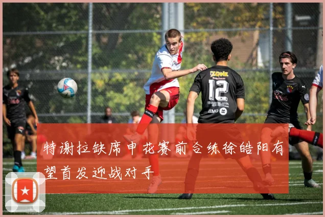 特谢拉缺席申花赛前合练徐皓阳有望首发迎战对手